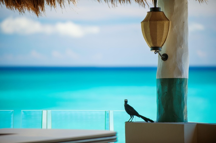 Fairmont Mayakoba Riviera Maya photo 32