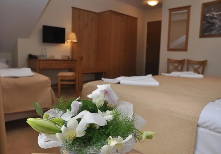 Standard Twin room with view