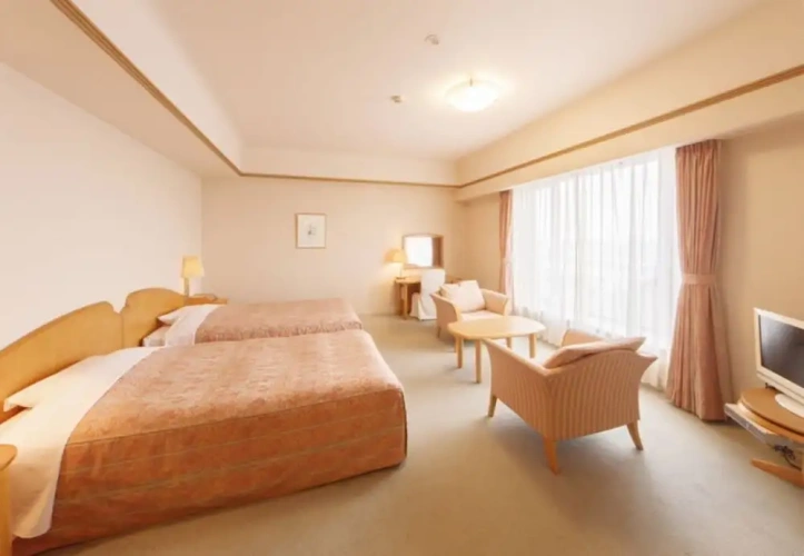 Comfort Twin room with city view