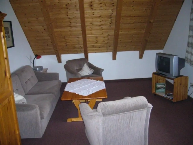 Apartment with garden view
