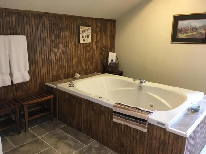 Deluxe Double Suite with view