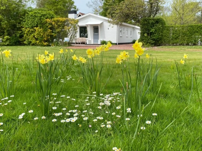 2 Bedrooms Bungalow