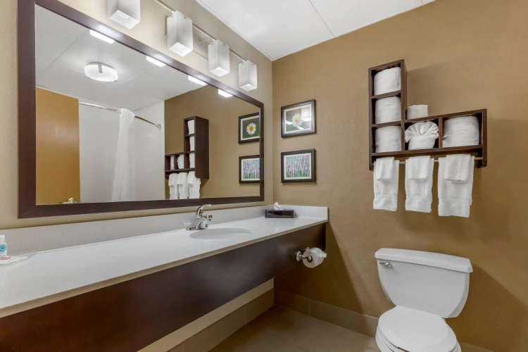 Quadruple Suite