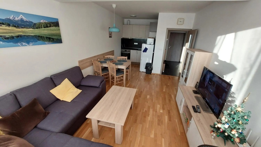 Apartment Iva