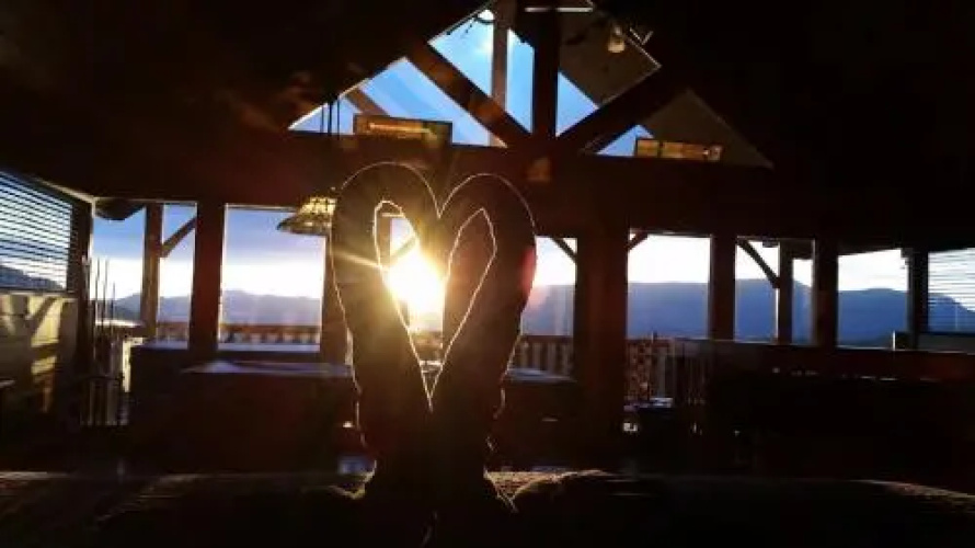 Birdnest Way Cabin 1258