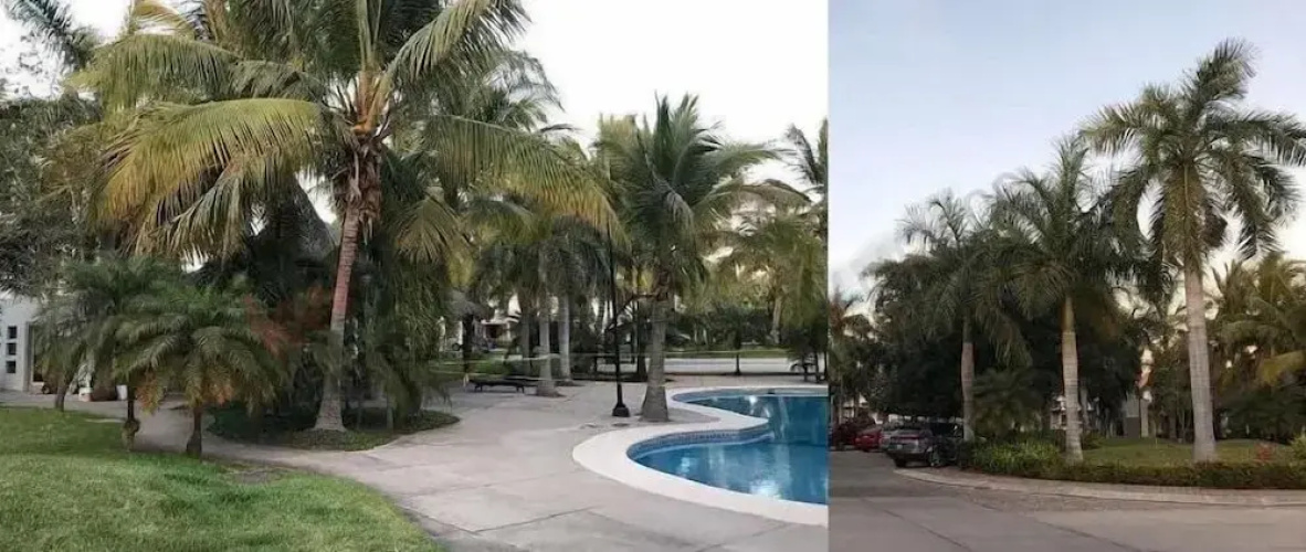 Casa Coto Sabalo