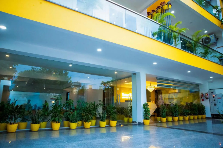 Lime Tree Luxury Studio