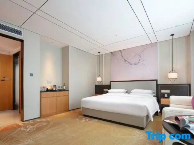 Comfort Suite