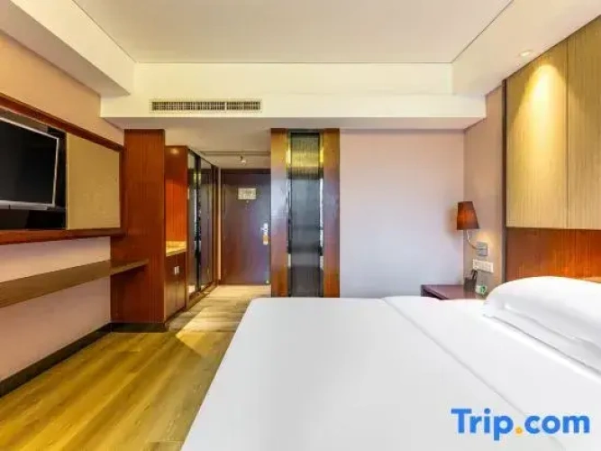 Business Double room with city view