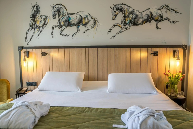 Mercure Bords De Loire Saumur