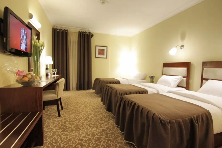 Standard Triple room with city view