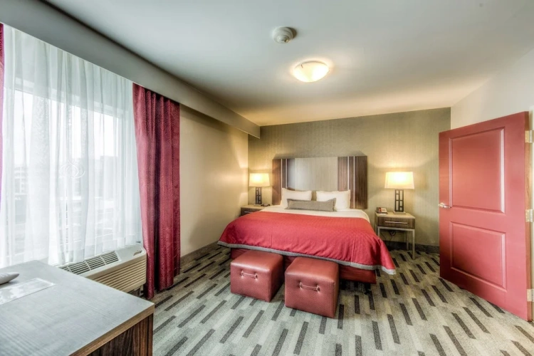 1 Bedroom Suite