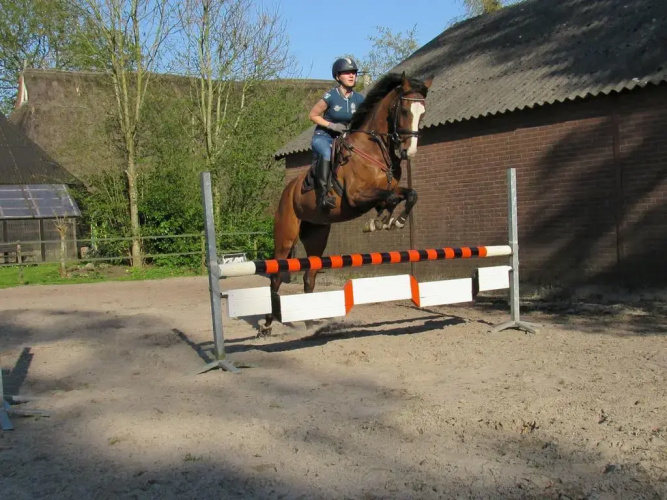 Achteropdehilde