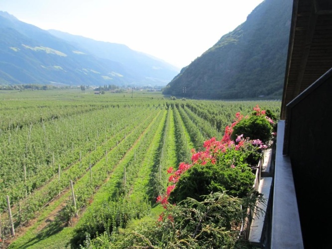Standard Single room with balcony and with mountain view
