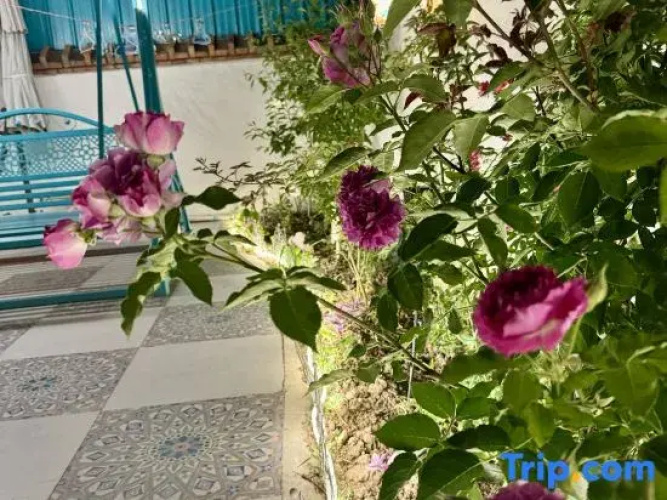 Yining Qingjushe Homestay