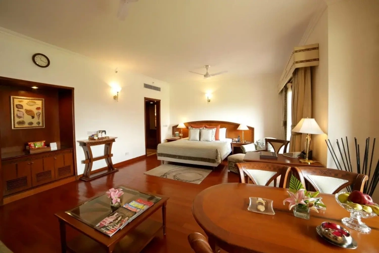 Junior Suite with balcony and with view