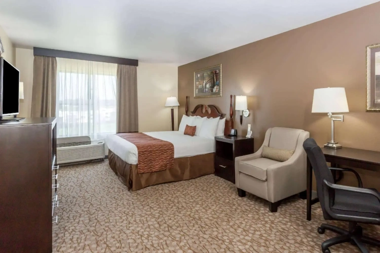 Standard Double room
