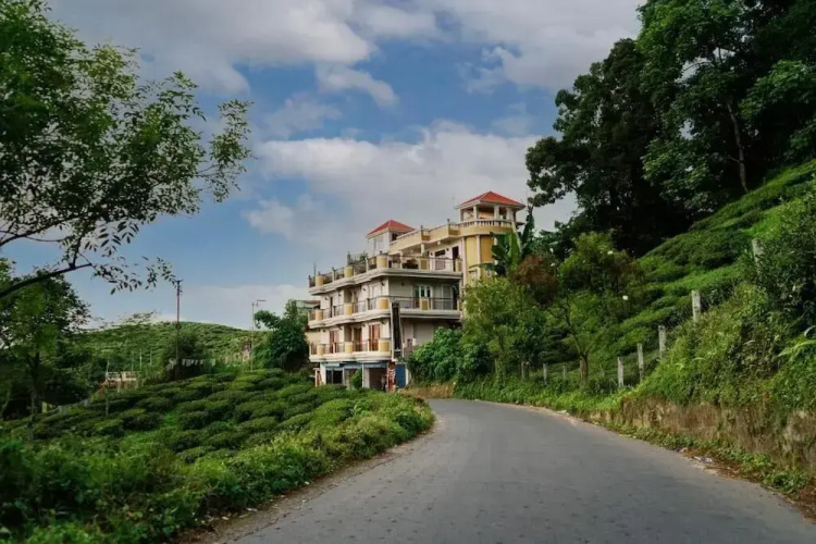 Traditional Hotel And Restaurant