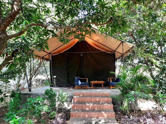 Tent