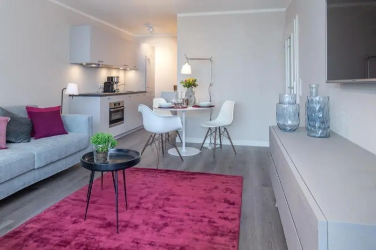 1 Bedroom Apartment