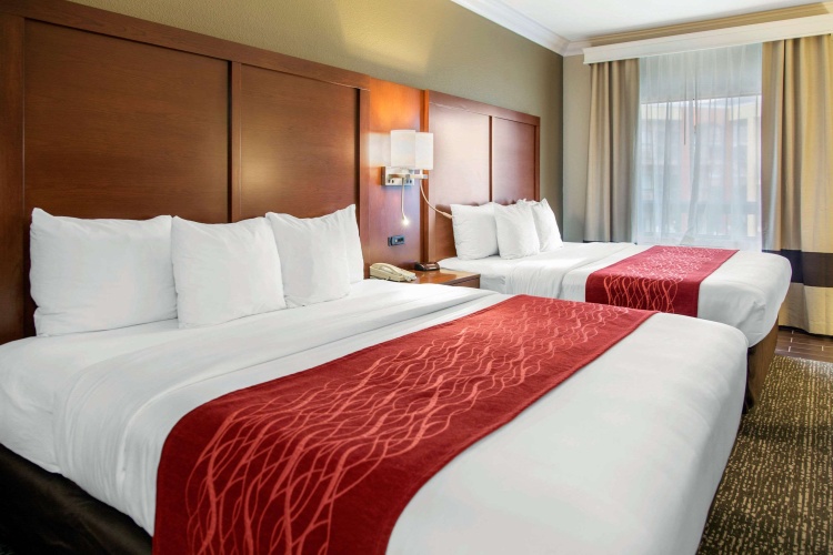 Standard Quadruple room