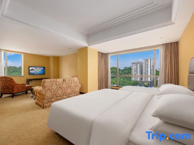 Deluxe Twin room with mountain view