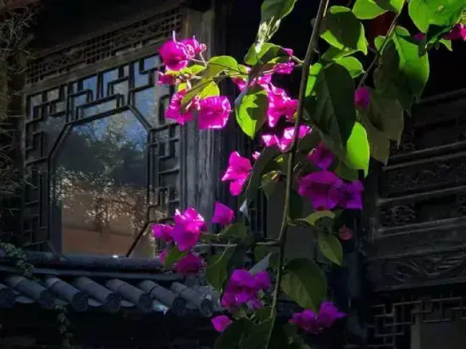 Lijiang Ten Courtyard Inn