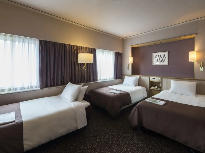 Hotel New Hankyu Osaka