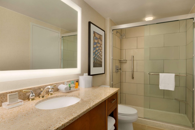 Hilton Chicago/Magnificent Mile Suites photo 12
