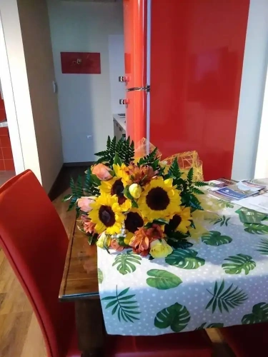 Comfort Apartment