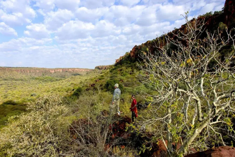 Waterberg Wilderness