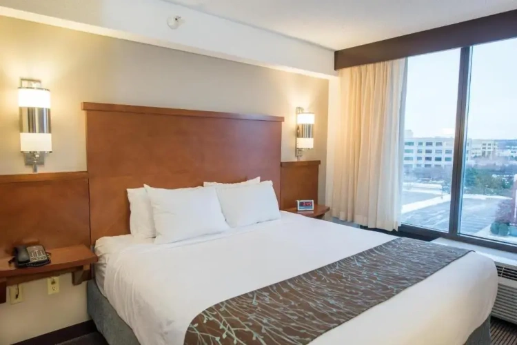 Double room (with sofa bed)