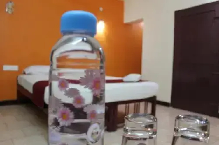 Hotel Usha