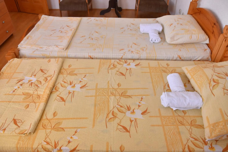 Apartment and Studio Damjan