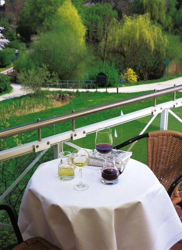 Deluxe Double room with balcony and with park view