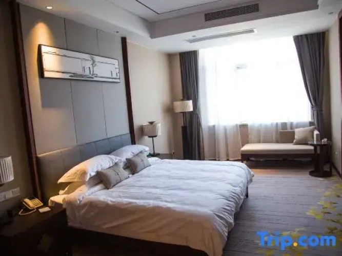Executive Apartment
