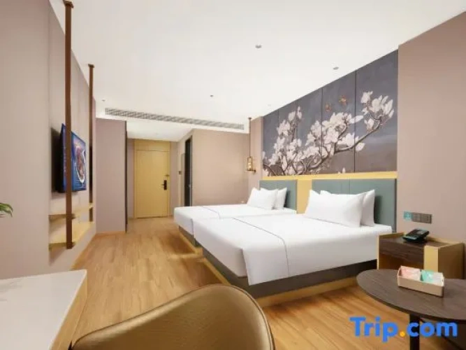 Superior Twin room with city view