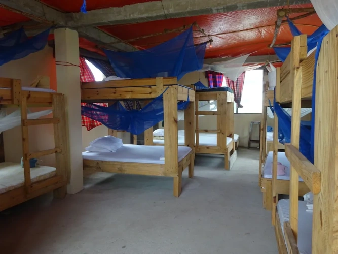 Bed in Dorm