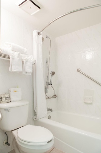 Holiday Inn Key Largo photo 11
