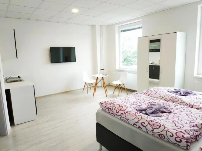 Deluxe Apartment