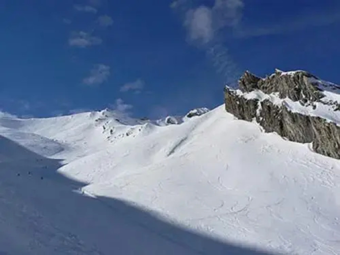 Allos