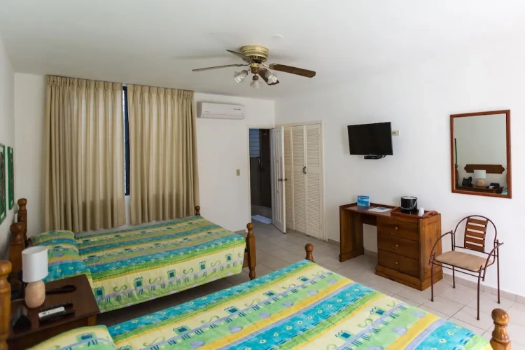 Standard Quadruple room with garden view