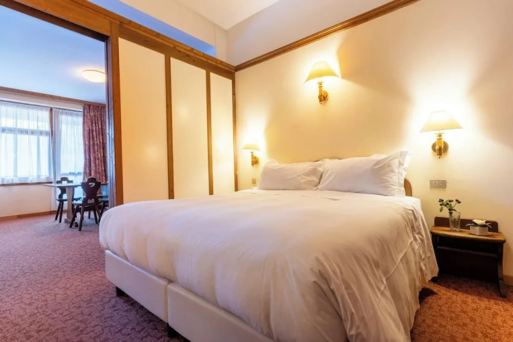 Superior Twin room with mountain view