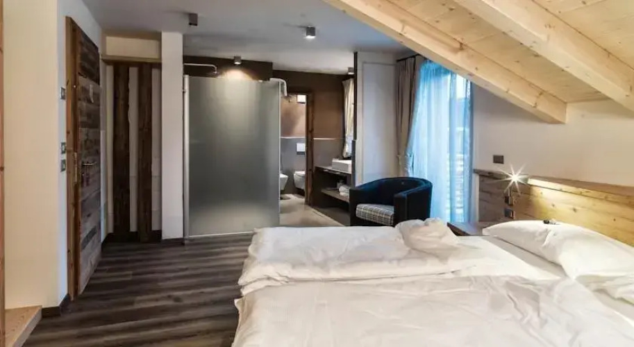 Chalet Vites Mountain HotelOver view