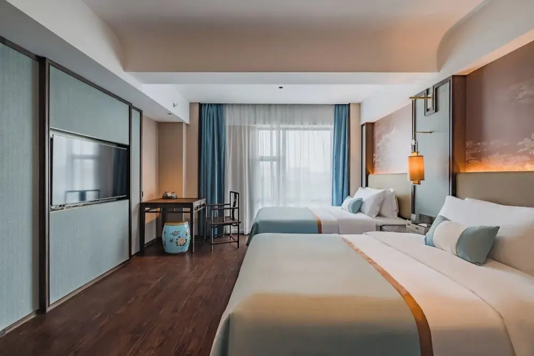 Classic Twin room with city view