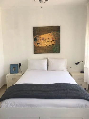 TLV Suites Triplex Penthouse With pool