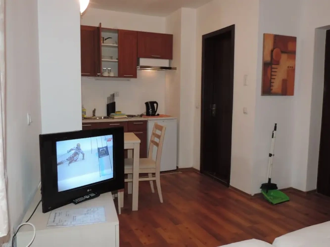 1 Bedroom Standard Apartment
