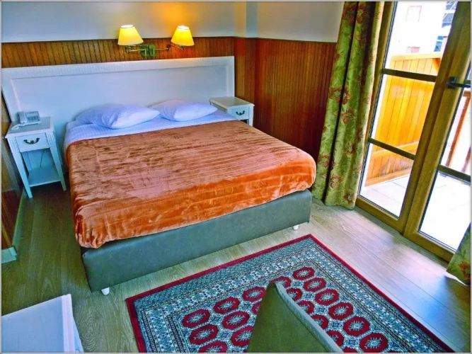 Standard Double room with mountain view