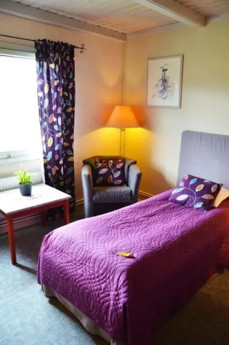Standard Single room with garden view