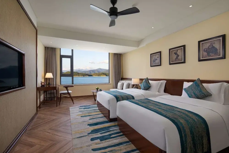 Deluxe Twin room with lake view